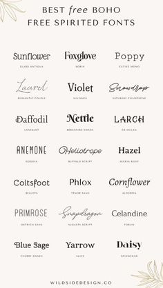 the best free font styles for your website