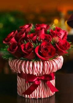 a bouquet of red roses in a candy cane box with the words sofyguapay cuta