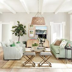 a living room filled with furniture and a large potted plant on top of a table