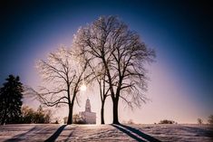 the sun shines brightly behind two trees on a snowy field