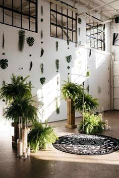 an indoor area with plants and mirrors on the wall