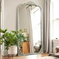 a large mirror sitting on top of a wooden floor next to a potted plant