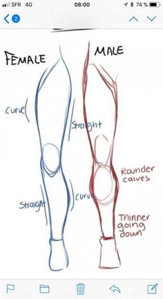 an image of female legs with different types of feet and their names on the page