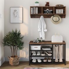 there is a coat rack and some shoes on the floor in this room with a potted plant