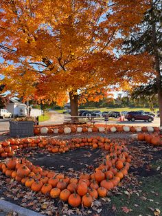 pumpkins arranged in the shape of a heart on top of leaves near a tree