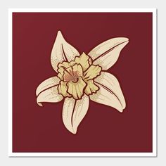 an image of a flower on a red background