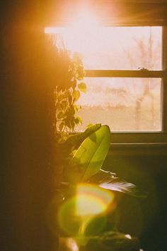 the sun shines brightly through an open window on a chair in front of a potted plant