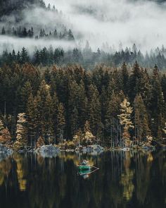 a small boat floating on top of a lake surrounded by tall pine trees and fog