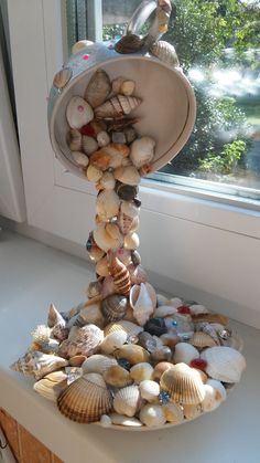 a bowl filled with lots of seashells on top of a counter next to a window