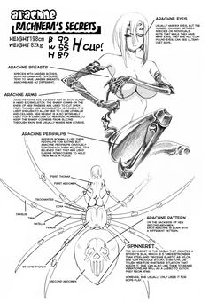 the anatomy of a woman's body and how to use it in this drawing