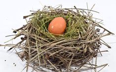 an orange egg sitting in a nest on top of grass