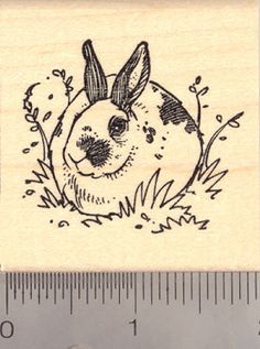 Spotted Domestic Rabbit Rubber Stamp Dutch Rabbit, Rabbit Silhouette, Bunny Templates, Stamp Maker, Bunny Tattoos, Black Bunny, Pet Vet, Jack Rabbit, House Rabbit