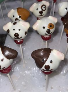 there are many cake pops with dogs on them