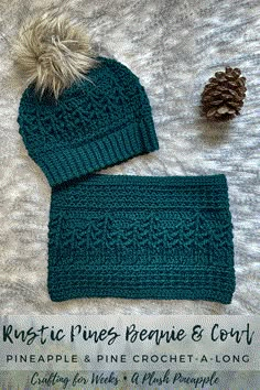 a knitted beanie and scarf with a pine cone on the side next to it