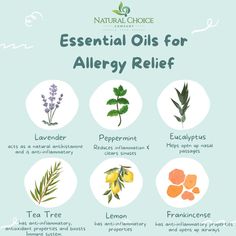 Allergies consist of itchy water eyes, sneezing, congestion etc.... Essential oils can be effective to help alleviate allergy symptoms by diffusing or placing topically by diluting them with a carrier oil. Some essential oils that help with allergy relief are Lavender,  Peppermint, Eucalyptus, Tea tree, lemon , frankincense, chamomile, or rosemary. Many of these oils have anti-inflammatory properties and help clear nasal passages. Try diffusing or making a roll-on with these essential oils. Remedies For Sinus Congestion, Water Eyes, Remedy For Sinus Congestion, Sinus Remedies, Home Remedies For Sinus, Natural Antihistamine, Sinus Congestion Relief