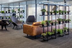 an office filled with lots of plants next to two couches and chairs in front of windows