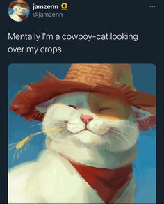 an image of a cat wearing a hat with caption that reads, mentally i'm a cowboy - cat looking over my crops