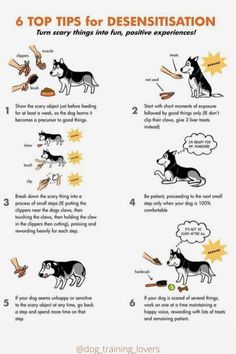 a poster with instructions on how to use dogs