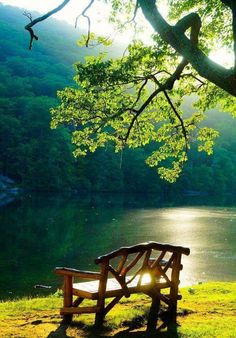 a wooden bench sitting on top of a lush green field next to a lake under a tree