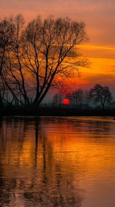 the sun is setting behind a tree on the water's edge, with its reflection in the water