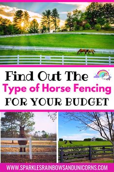 a horse fence with the words find out the type of horse fencing for your budget