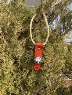 a pair of scissors hanging from a tree