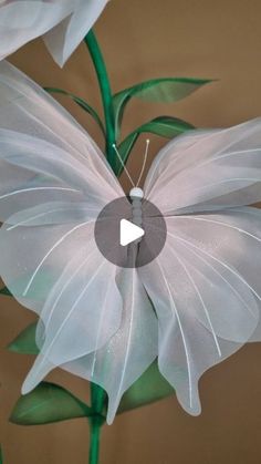 a close up of a flower with a white butterfly on it