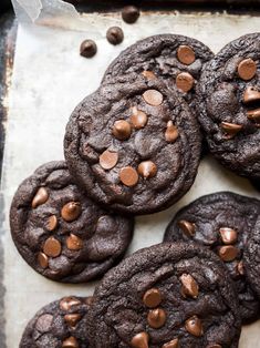 chocolate cookies with chocolate chips on top