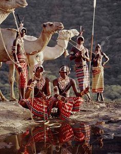 an old photo of some people with camels