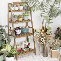 several potted plants are sitting on shelves in a room with white walls and flooring