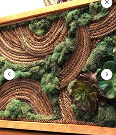 a close up of a wooden frame with plants and rocks on the inside, along with instructions for how to make a moss wall art piece