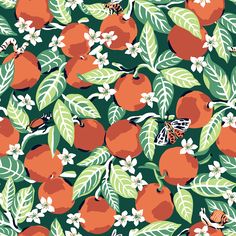 Buzzing with beauty, this garden print is sure to add juicy style to any space! A blood orange grove with lush greenery and delicate white blossoms are adorned by a variety of friendly pollinators. Juniper Orange Grove Peel and Stick Wallpaper comes on one roll that measures 20.5 inches wide by 18 feet long. PrintFresh 30.75-sq ft Green Vinyl Novelty Self-adhesive Peel and Stick Wallpaper | PFS4816 Farmhouse Wallpaper, Chinoiserie Print, Orange Grove, Fruit Wallpaper, Wallpaper For Sale, Green Backdrops, Decor Pillows, Tropical Foliage, Garden Print