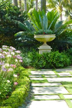 a garden with lots of green plants and flowers