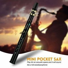 an image of a musical instrument with music notes coming out of it and the words mini pocket saxophone