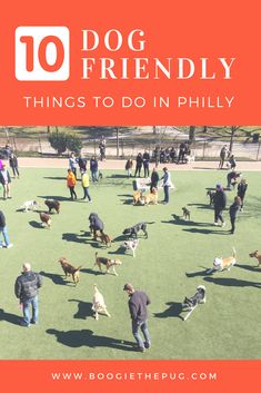 people are walking their dogs in the park with text overlay that reads 10 dog friendly things to do in philly