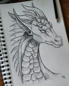 a pencil drawing of a dragon head