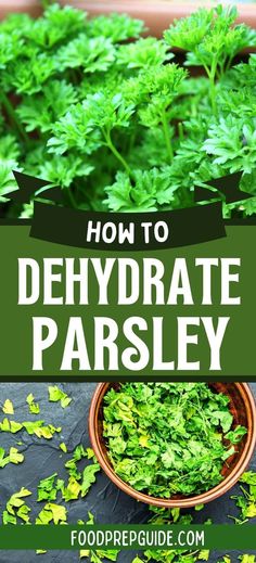 At the top of the image is a close-up of fresh, green parsley. At the bottom of the image is a bowl of dried parsley that just came out of the dehydrator. Parsley