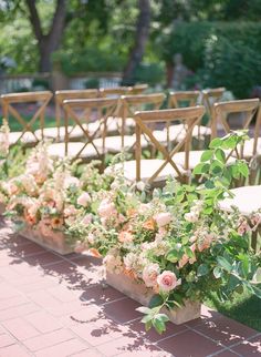 rows of wooden benches with flowers in them