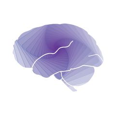 an abstract image of a purple fan shaped object on a white background in the shape of a brain