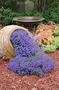 purple flowers are growing out of an old barrel in the middle of a flower garden