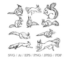 an image of squirrels and other animals