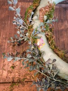 a piece of wood that has some plants growing out of it