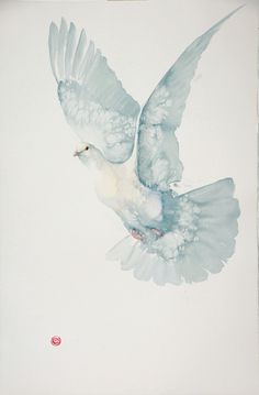 a white bird flying through the air with its wings spread