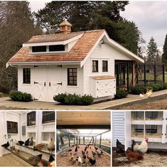 several different pictures of chickens in front of a white house and chicken coops on the outside