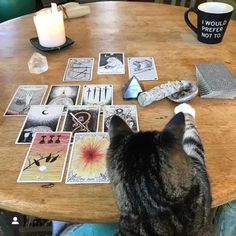 a cat sitting on top of a wooden table next to a cup and some cards