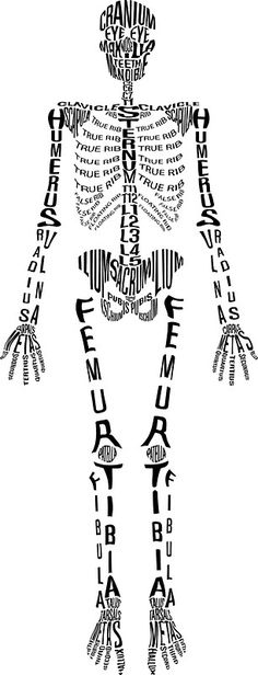 the human skeleton is made up of words and letters that are written in different languages