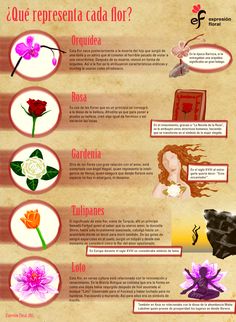 an info sheet with different types of flowers and their names in spanish, english and spanish