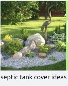 an image of a garden with rocks and plants in the middle, and text that reads specific tank cover ideas