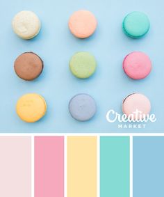 macaroni and cheese macaroons in pastel colors on a blue background