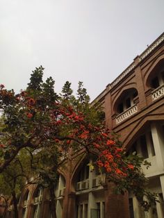 an old building with red flowers on the tree